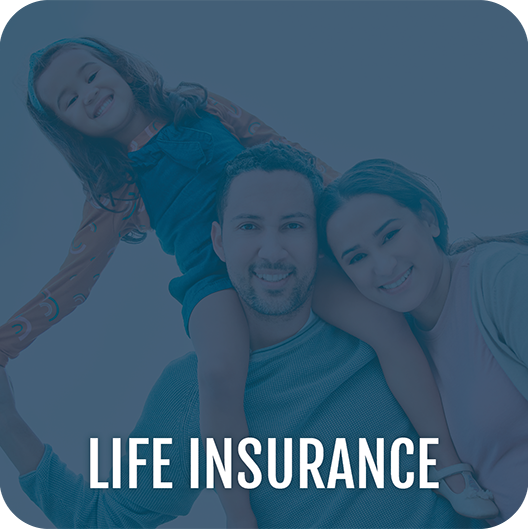 Photo button: Life Insurance