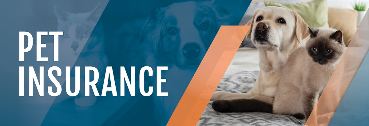 Header: Pet Insurance