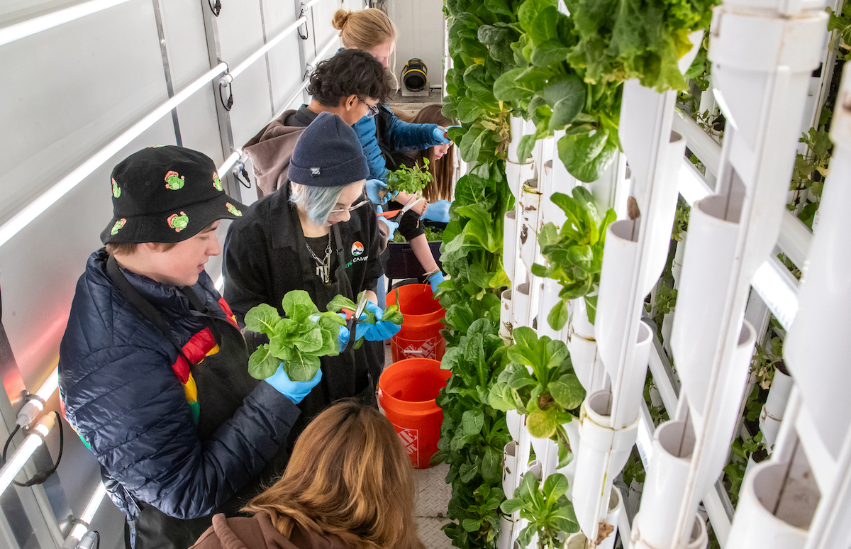 A diverse group of plant sciences students works in the hydroponic farm.