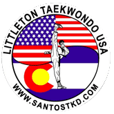 Logo featuring a martial artist performing a high kick with a backdrop of an USA flag and Colorado flag