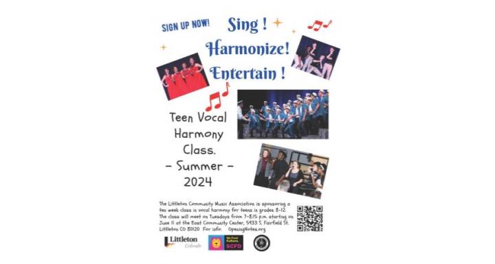 flyer for teen vocal lessons - summer program