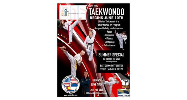 flyer for new taekwondo program